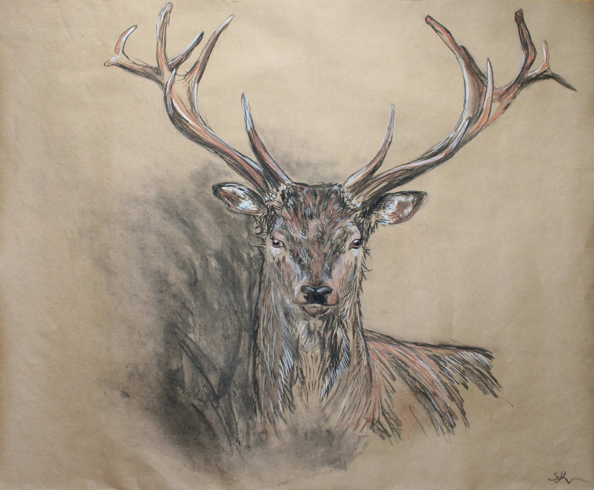 Rothirsch auf Packpapier