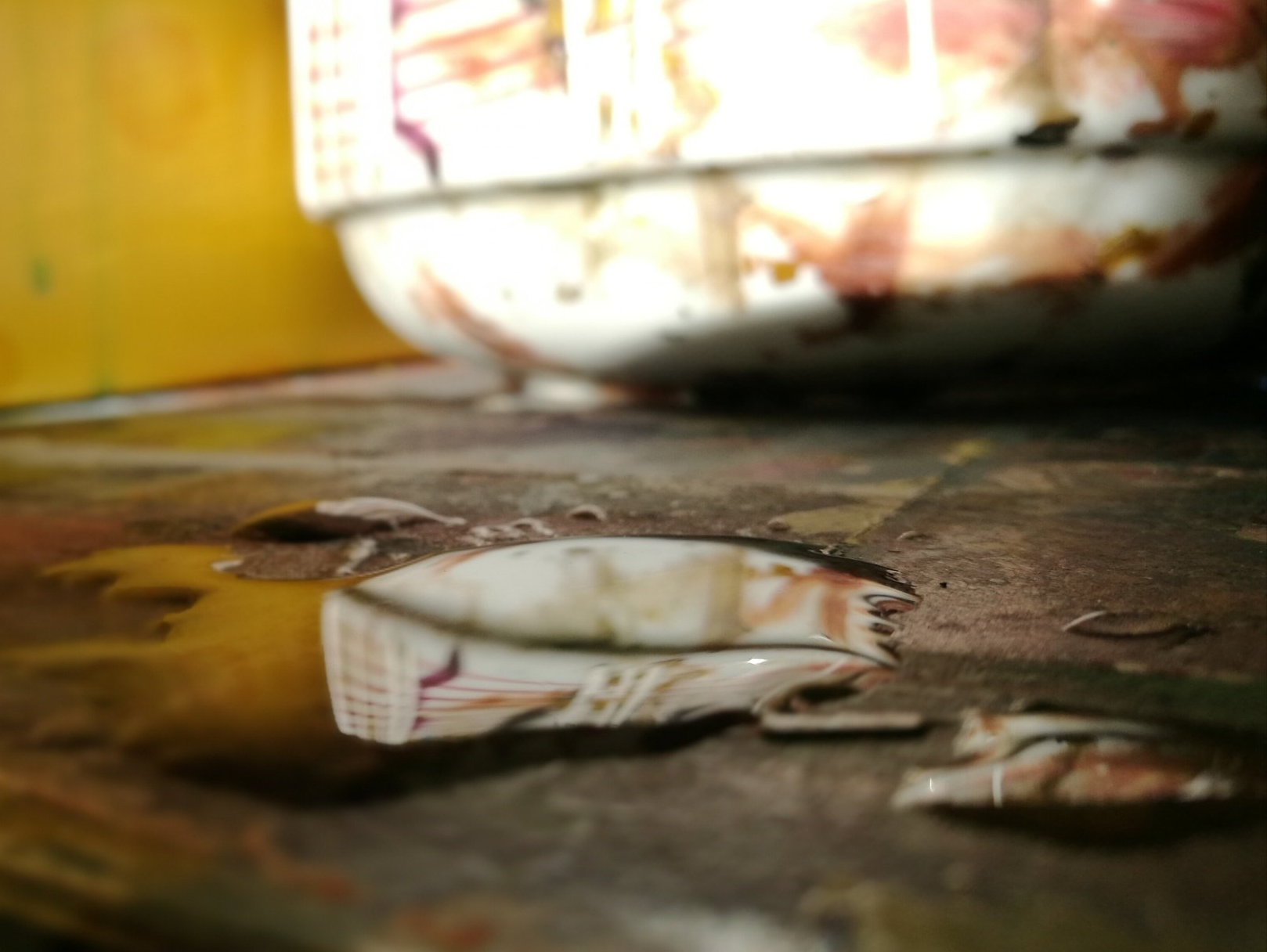 Im Atelier von Sequoia Wassertropfen im Atelier von Sequoia