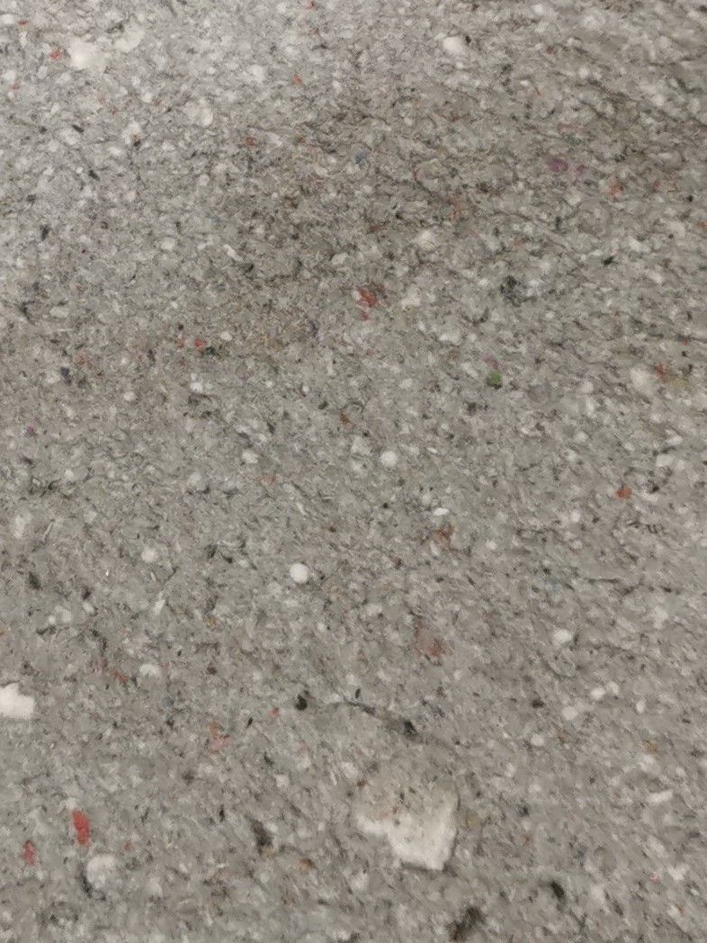 Im Atelier von Sequoia Pinsel in einem Glas