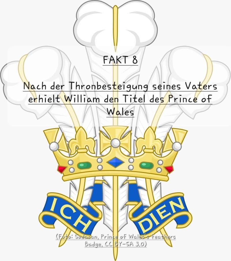 9 Fakten zum Leben von Prinz William, von seiner Taufe im Buckingham Palace bis zum Treueschwur bei der Krönung seines Vaters