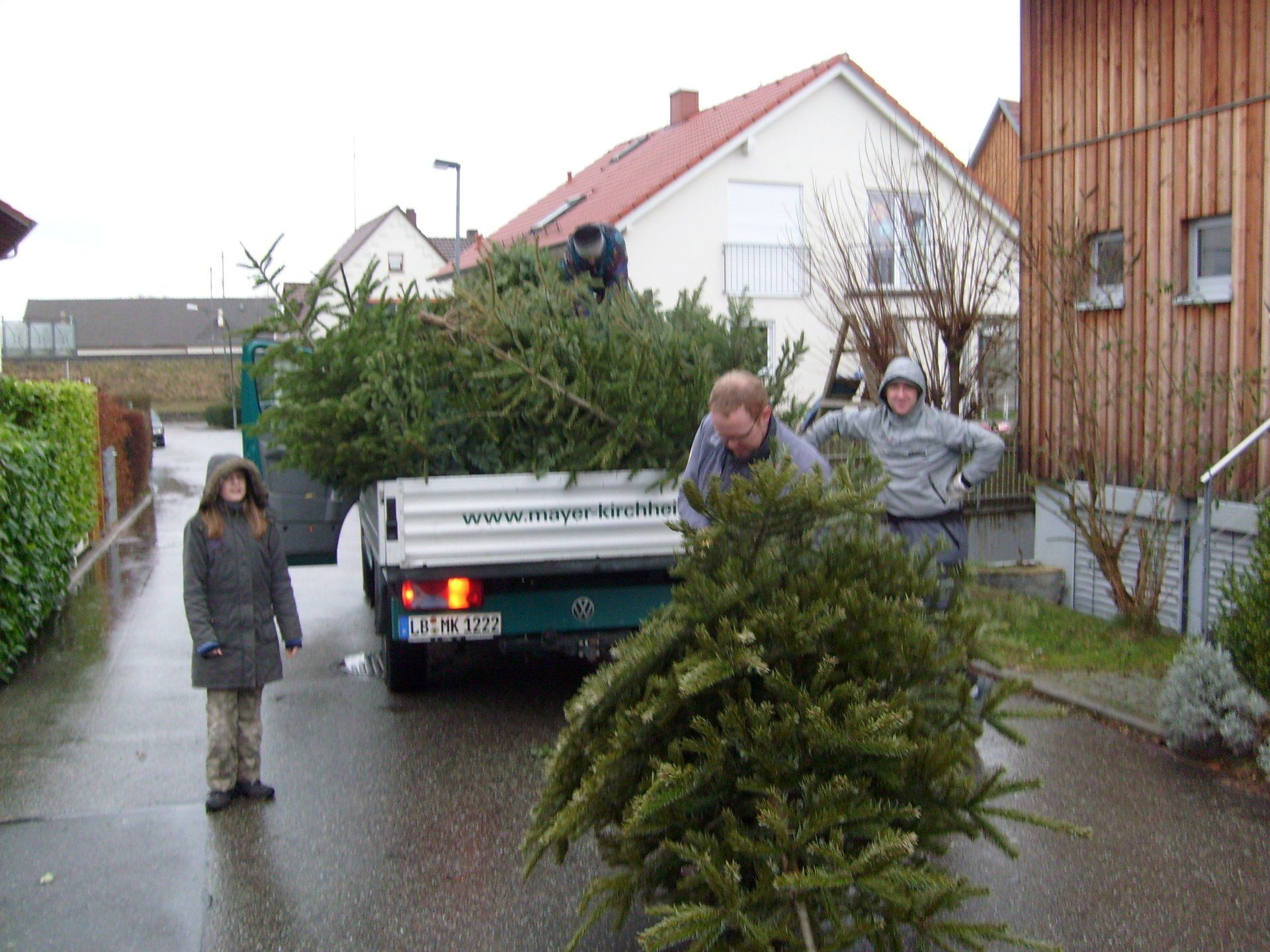 Wihnachtsbaumsammlung