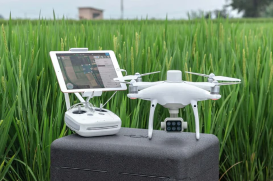 Utilizamos drones equipados con cámaras multiespectrales de la más alta gama para anticiparnos e identificar de manera oportuna problemas fisiológicos, estrés y enfermedades en sus cultivos.