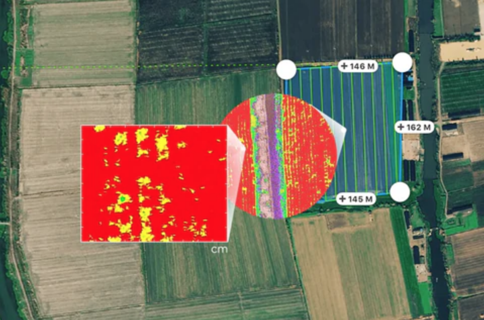 Con nuestros flujos de trabajo generamos entregables (ortomosaicos multiespectrales y modelos de digitales de superficie) de forma más eficiente, lo que le ayudará a generar informes que apoyen la toma de decisiones en el campo de la agricultura inteligente para cualquier tipo de cultivo.