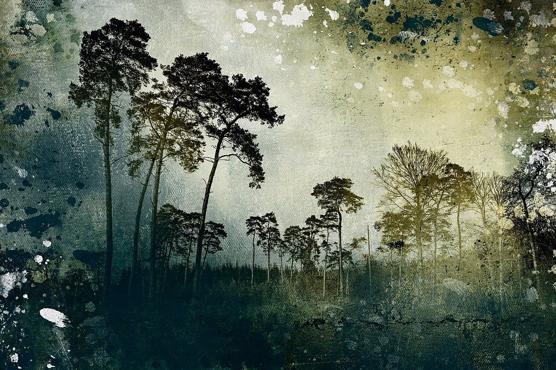 Dieter Nuhrs painting