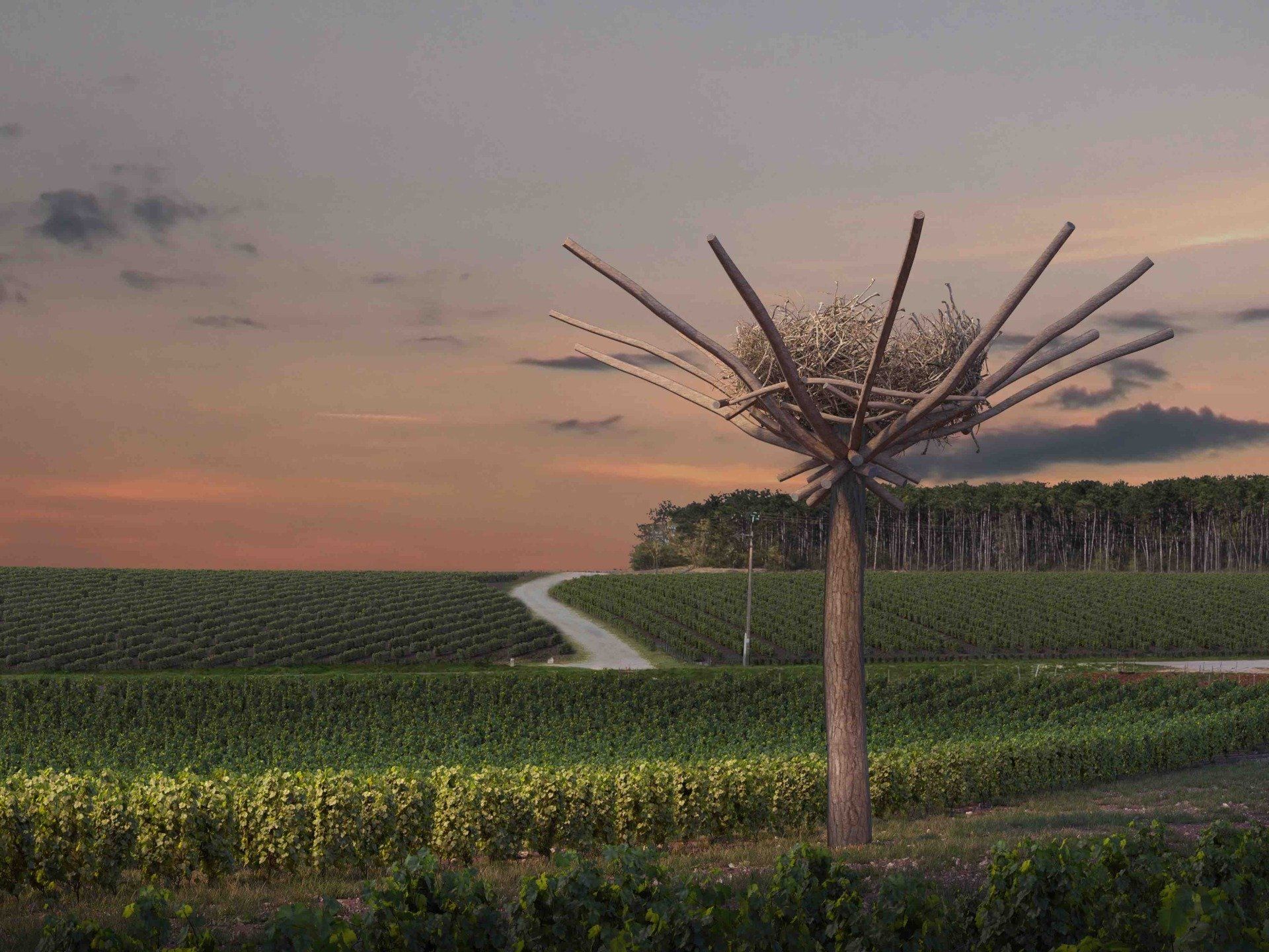 HABITATS - Ruinart, Nils-Udo ©Copyright Ruinart Alethea Magazine