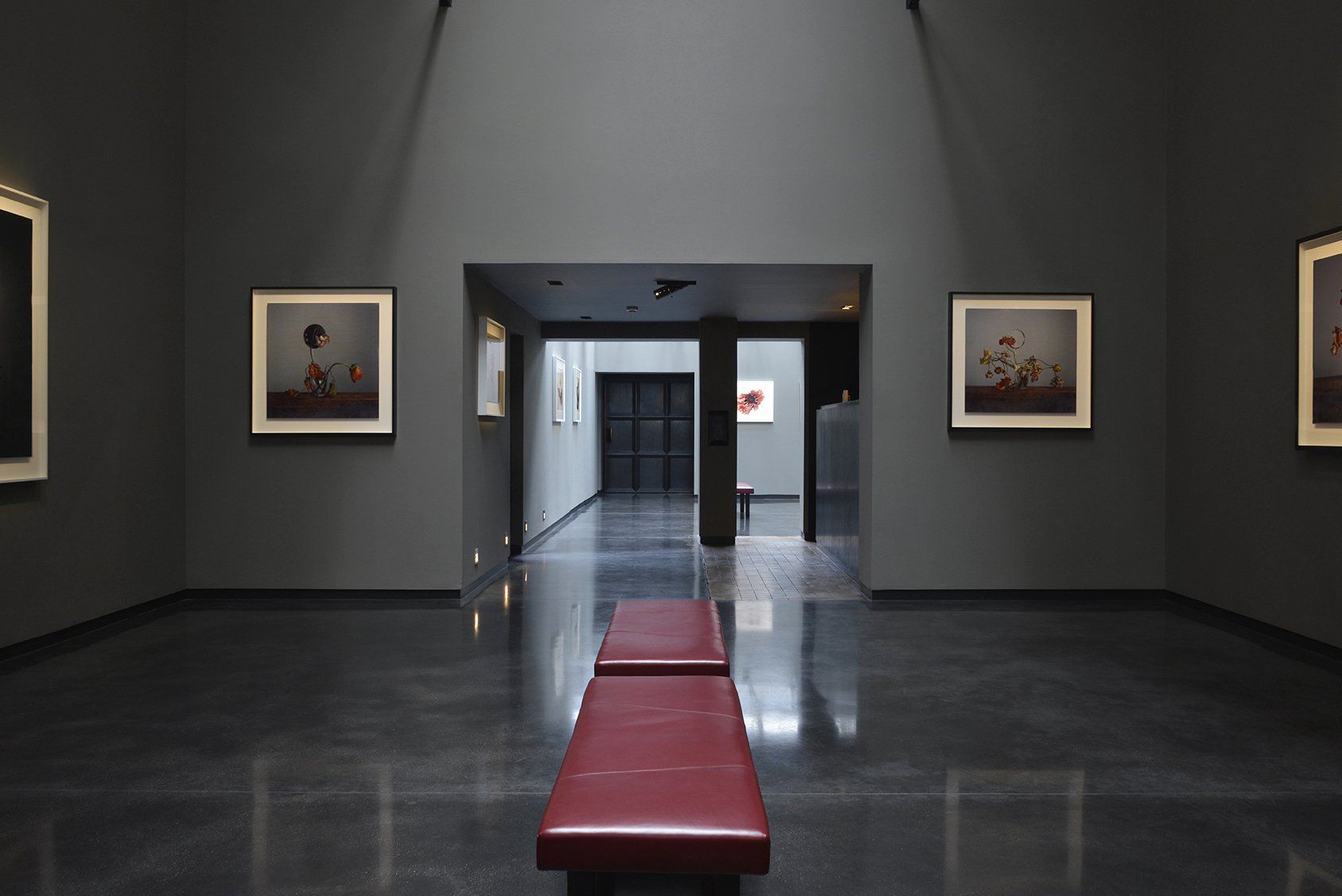 Richard Learoyd & Irving Penn exhibition at Hamiltons Gallery, London ©Hamiltons Gallery Alethea Magazine