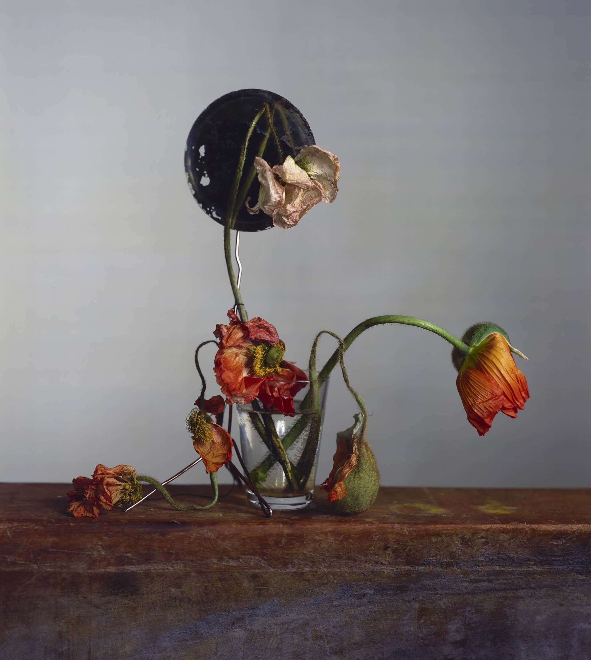 Richard Learoyd & Irving Penn exhibition at Hamiltons Gallery, London ©Hamiltons Gallery Alethea Magazine