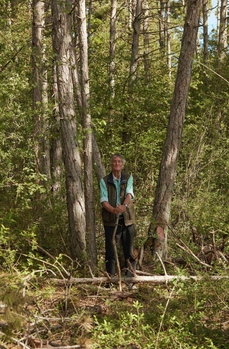 HABITATS - Ruinart, Nils-Udo ©Copyright Romain Guittet