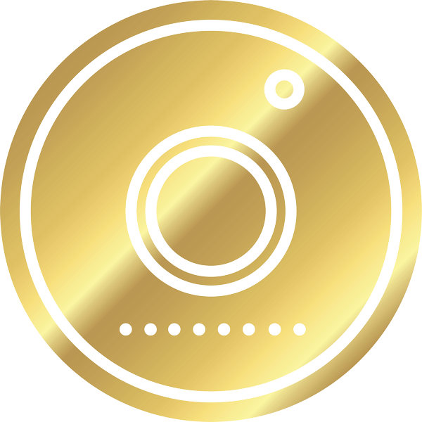 follow-us-on-instagram-savvy-peacocks