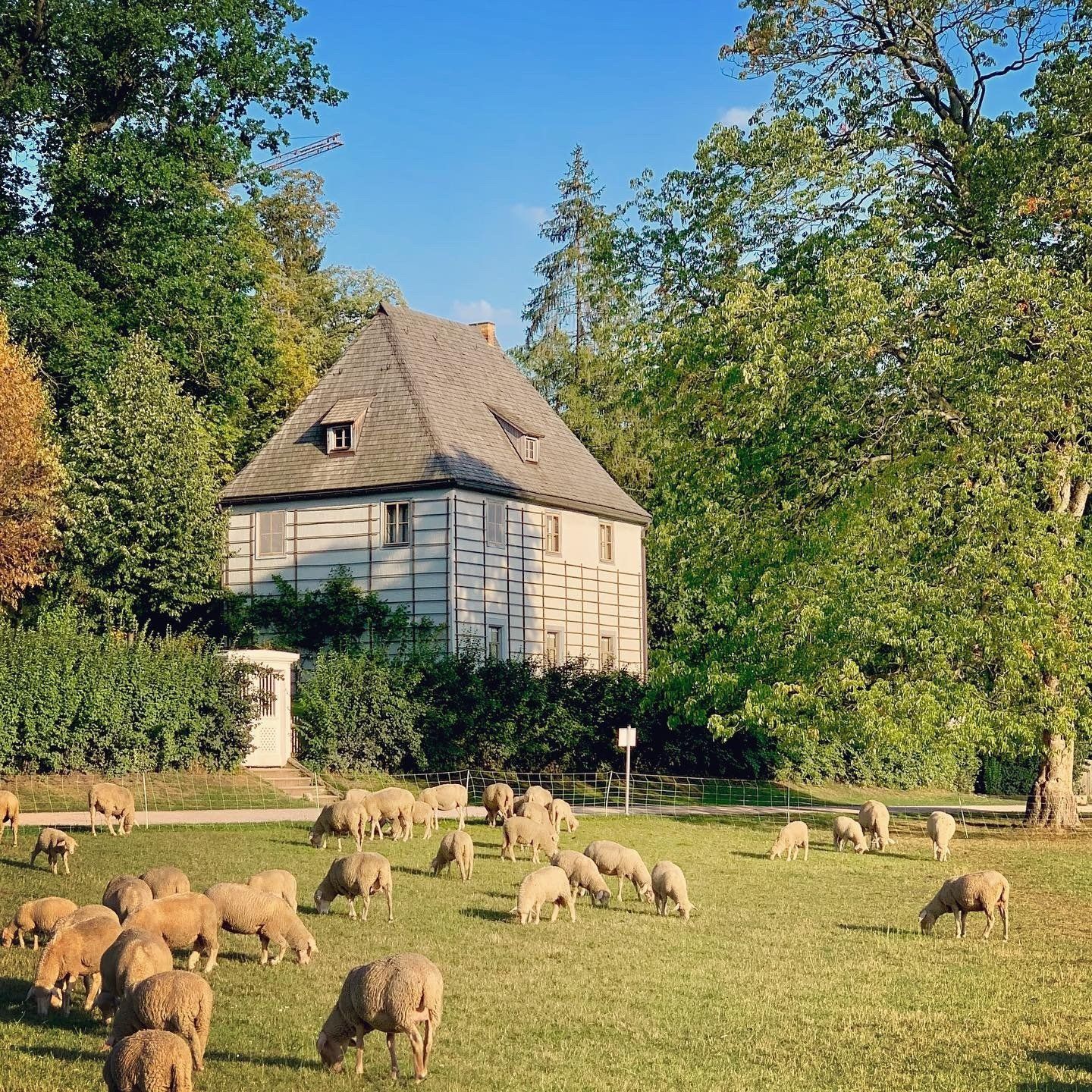 Foto: Christian Eckert Park an der Ilm