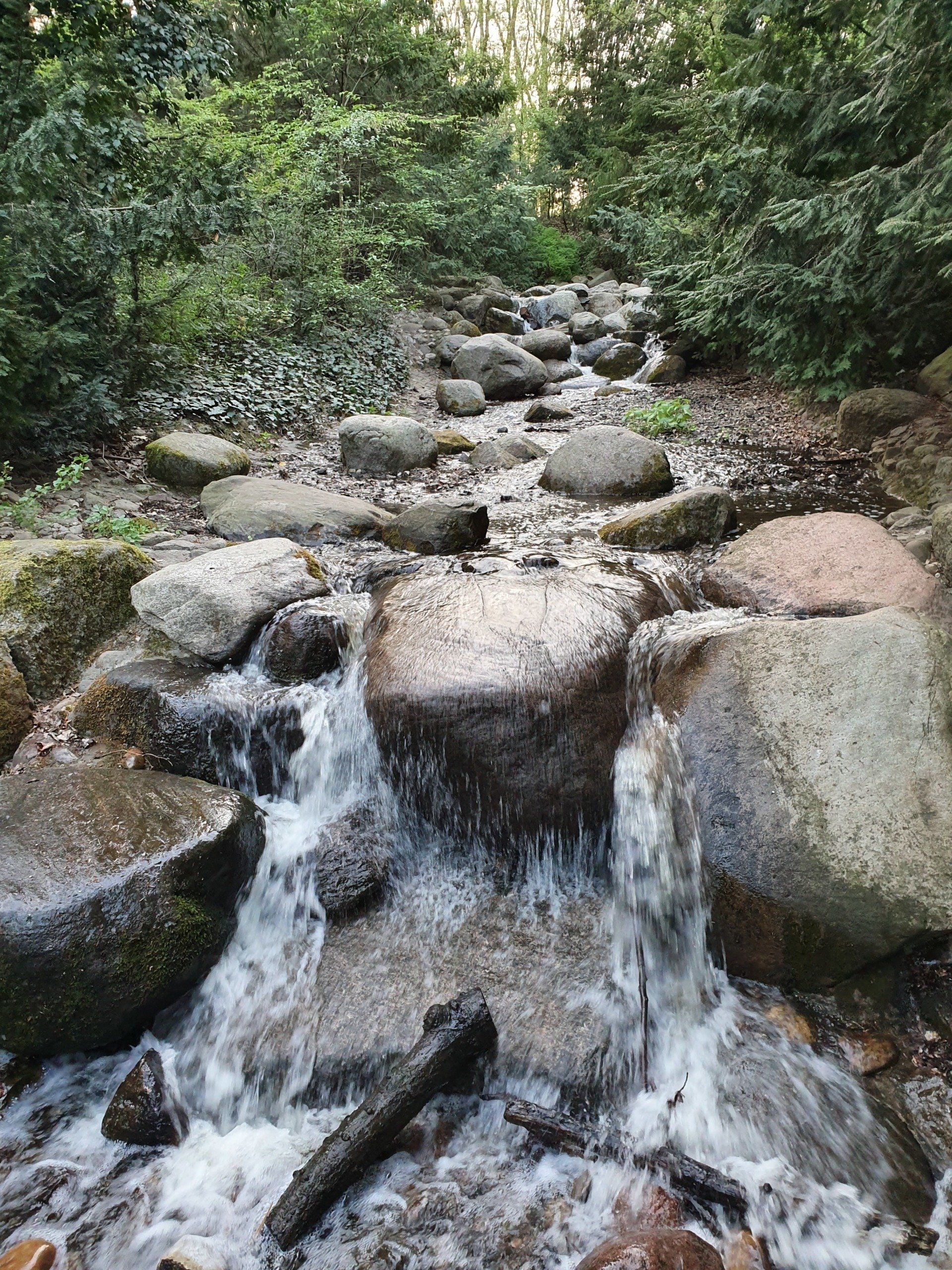 Ein kleiner Bach in der Natur, der in Berlin Steinbergpark zu finden ist
