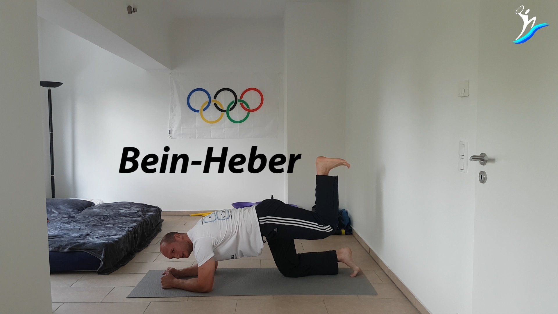 Ganzkörperworkout für Anfänger oder Einsteiger zum mitmachen | mit Spaß und Freude zur Traumfigur(2)