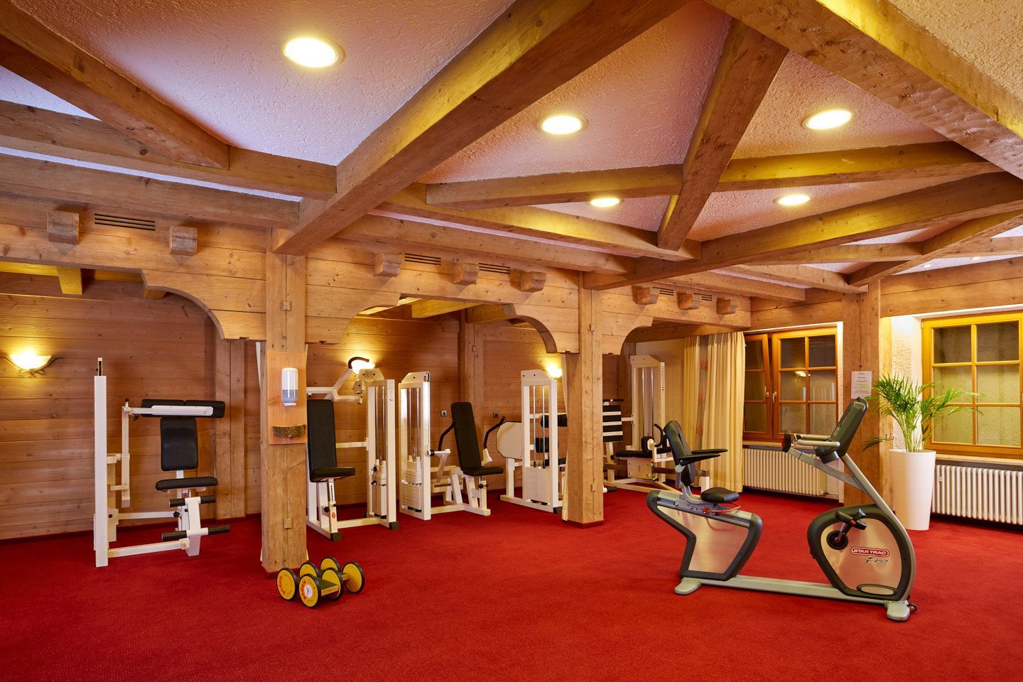 unsere Grüne Oase, ihre Liegewiese unsere Grüne Oase ihre Liegewiese