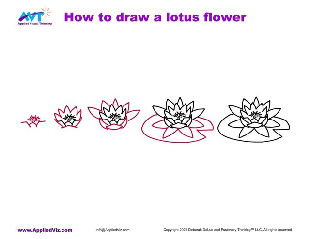 AVT how to draw a lotus flower