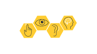 Touch, see, see, environ graphic