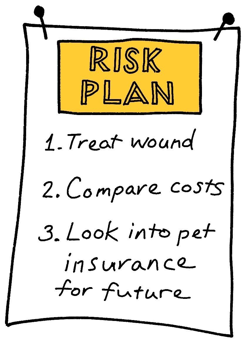 Risk Plan: 1. Treat wound 2. Compare costs 3. Look into pet insurance for future