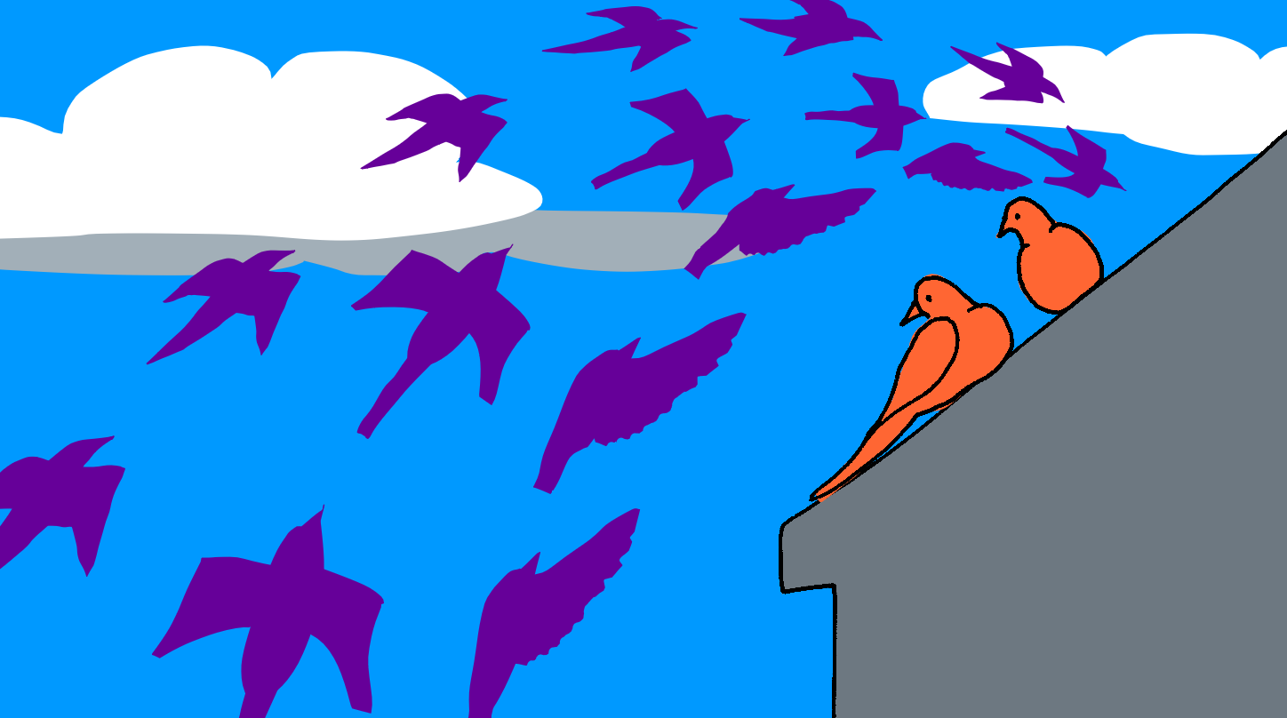 Drawing of mourning doves on and flying over a roof