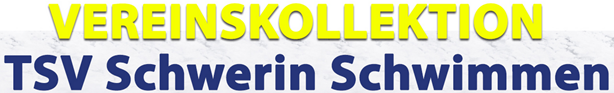 JAKO-Vereinsshop https://team.jako.com/de-de/team/tsv_schwerin_schwimmen/