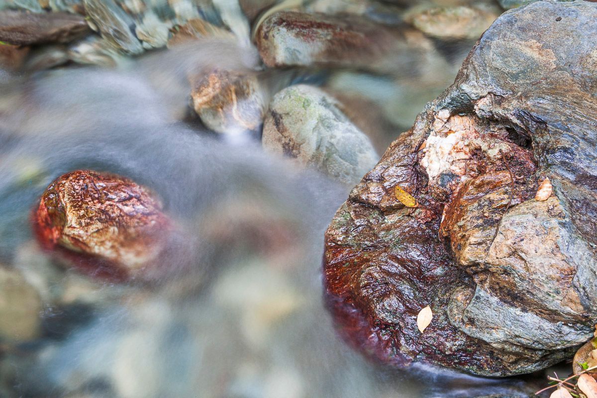 Comprendre les bienfaits de la photographie de la nature sur le moral des personnes