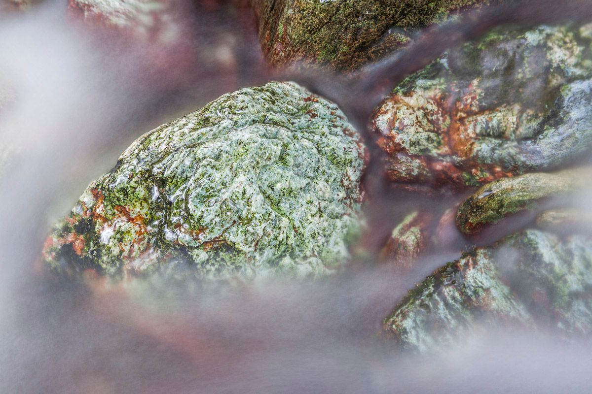 pourquoi la photographie est un art à part entière