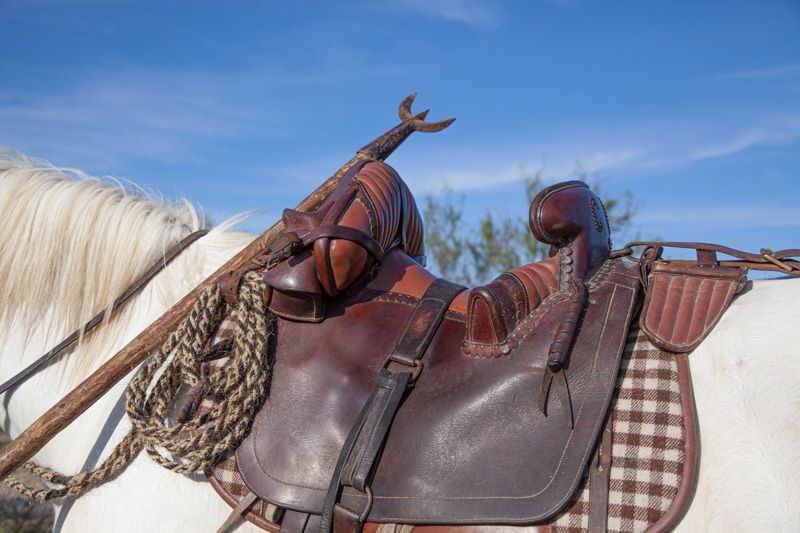 Cheval harnaché avec une selle camarguaise