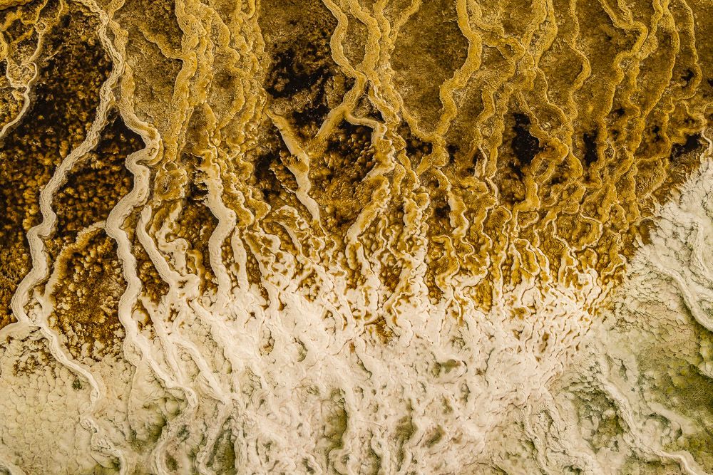 pourquoi la photographie est un art à part entière