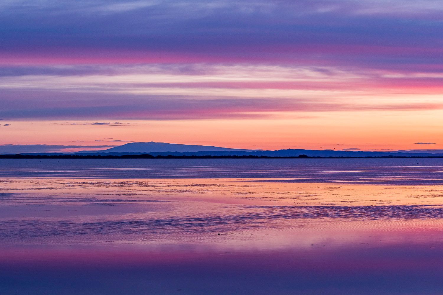 Parc naturel régional de Camargue