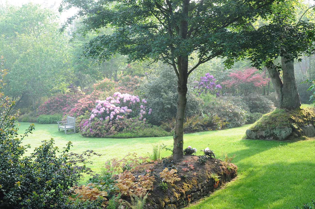 tu seras la consolation de mon Cœur jardin magnifique horizon-spirituel.com