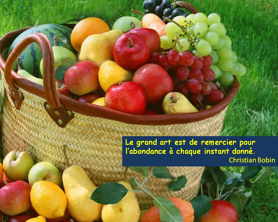 Merci pour ces fruits aux saveurs si différentes abondance horizon-spirituel.com