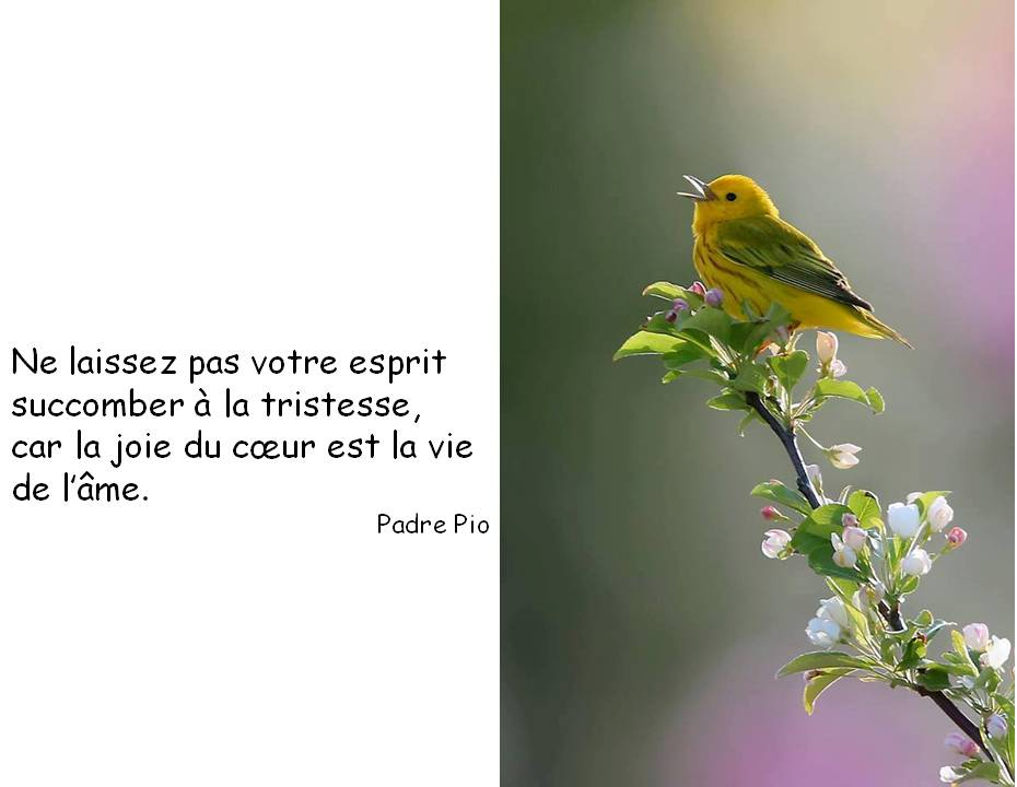 Chanter sa joie ! Joie du coeur horizon-spirituel.com