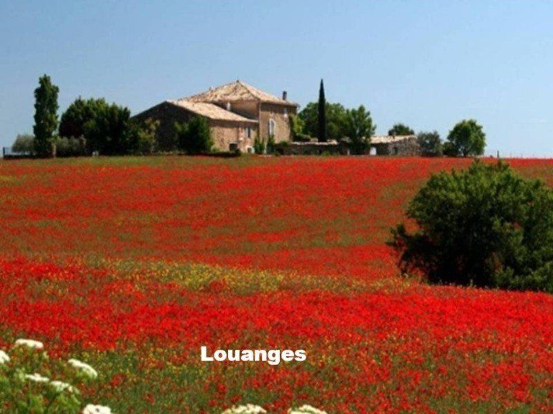 tant à s'émerveiller, tant à louer louanges et prières Horizon-spirituel.com