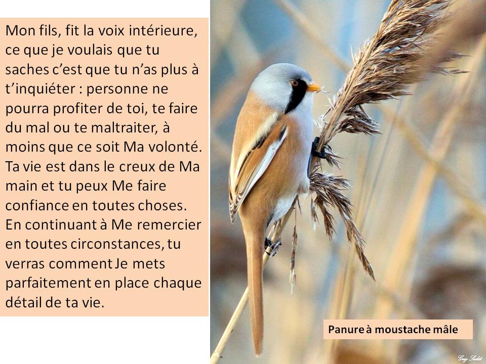 Ne t'inquiète pas Confiance horizon-spirituel.com