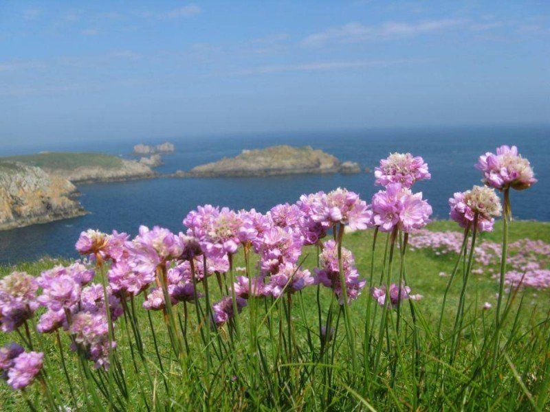 Sous le vent Côte de Bretagne horizon-spirituel.com