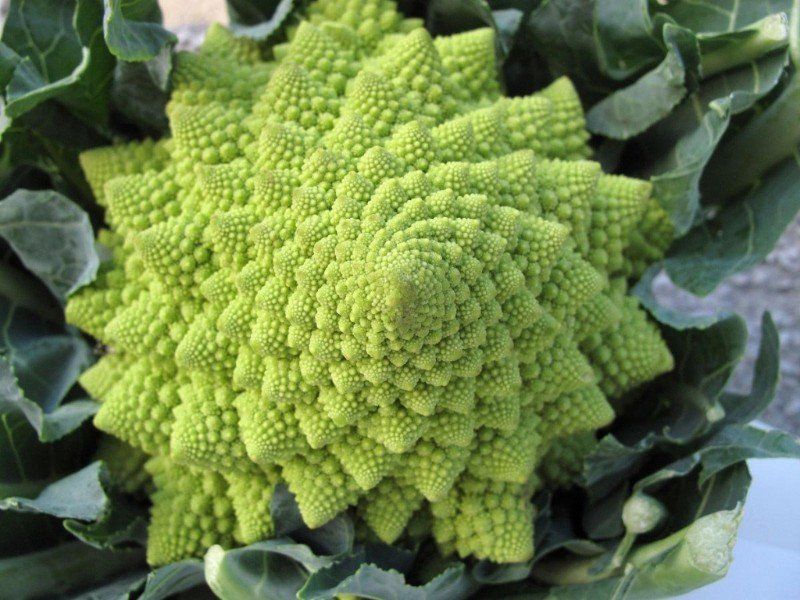 bien rangé chou romanesco horizon-spirituel.com