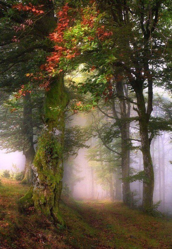 notre âme se sépare du corps, elle s'élève l'âme se sépare du corps horizon-spirituel.com