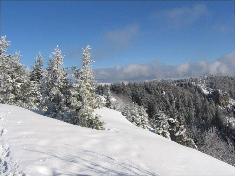 A chaque croisée des chemins s'émerveiller Hiver Hautes Vosges horizon-spirituel.com