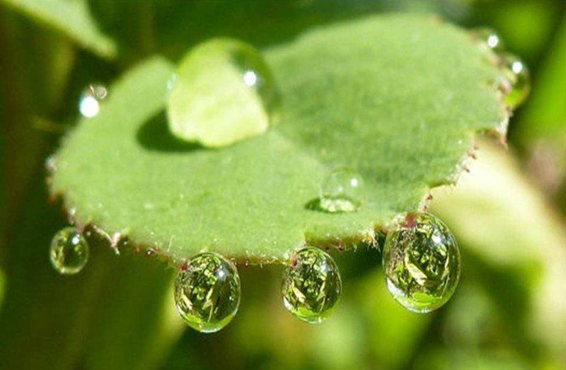 Une goutte d'eau peut tout changer Goutte d'eau horizon-spirituel.com