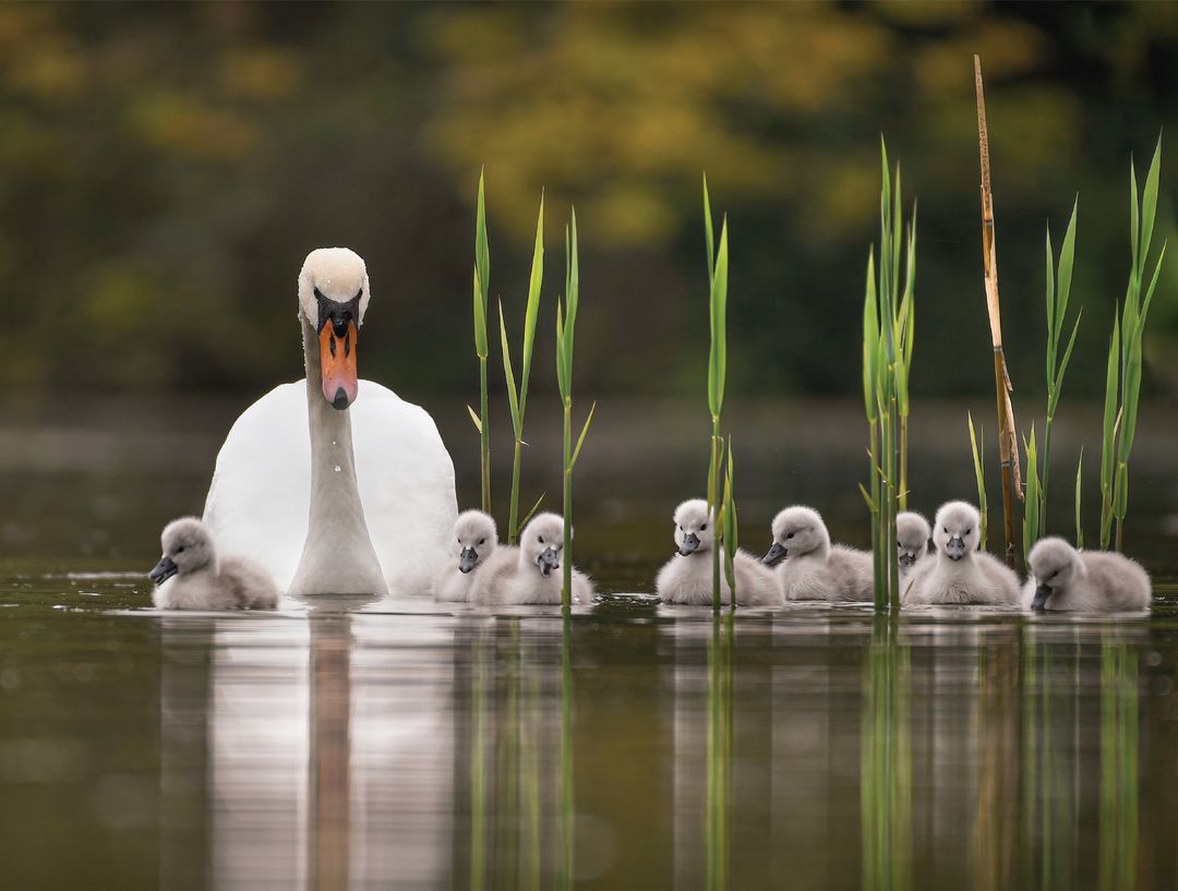 la confiance des petits Confiance www.horizon-spirituel.com