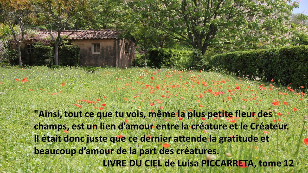 Quelle beauté que ces prairies fleuries Champs horizon-spirituel.com