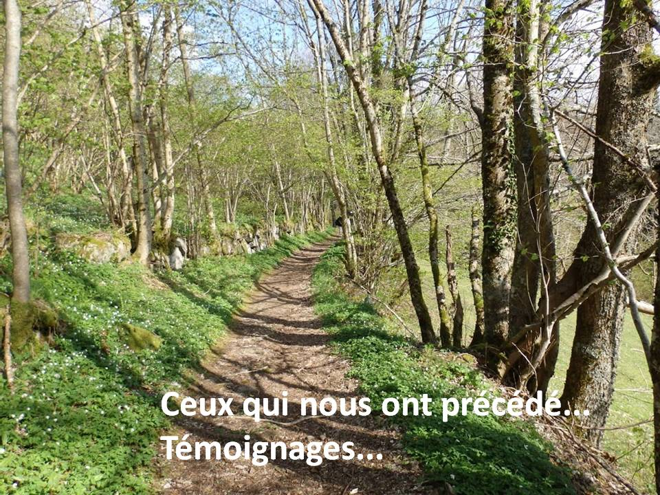 Sentiers, expériences Horizon-spirituel.com