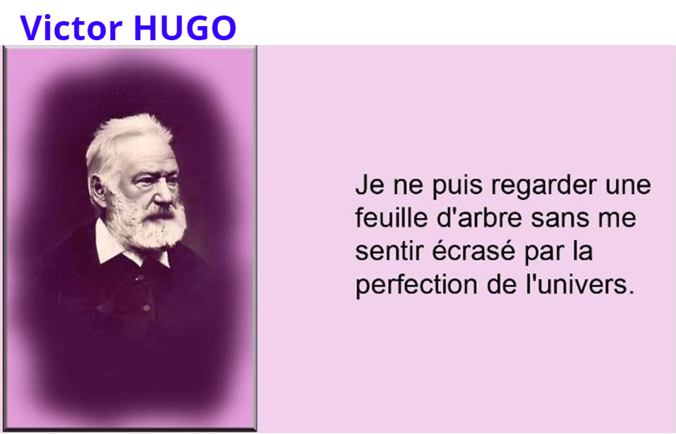 Comment ne pas s'émerveiller ? Victor Hugo et la nature horizon-spirituel.com