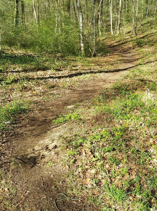 Chercher l'harmonie dans nos chemins Harmonieux chemin Horizon-spirituel.com