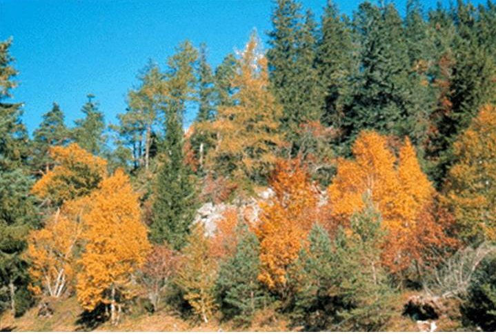 quelle palette Couleurs d'automne horizon-spirituel.com