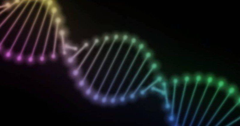 jolie chaine ADN fabuleux ADN  horizon-spirituel.com