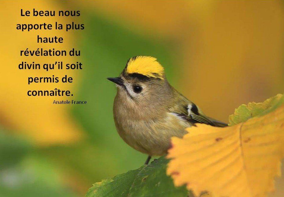 la beauté des petites choses Haute révélation horizon-spirituel.com