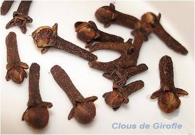 Une dent ? clou de giroffle horizon-spirituel.com