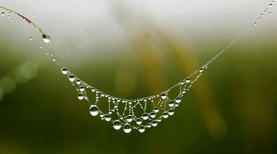 Se concentrer sur la beauté parure de perles horizon-spirituel.com