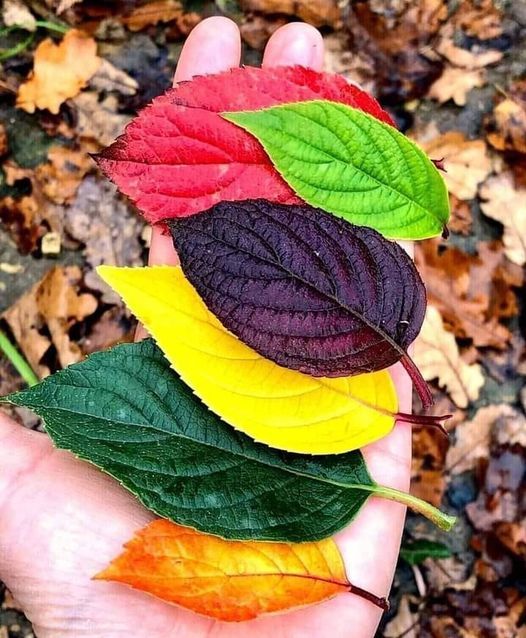 la vie en couleurs Couleurs horizon-spirituel.com