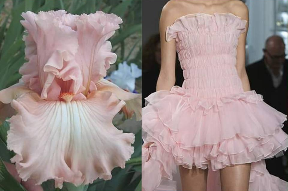 Qui copie le Créateur ? Tous ! createur de parures horizon-spirituel.com