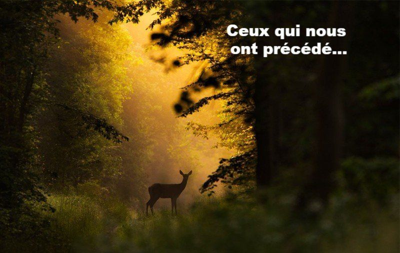 Sur le chemin avant nous Predecesseurs horizon-spirituel.com